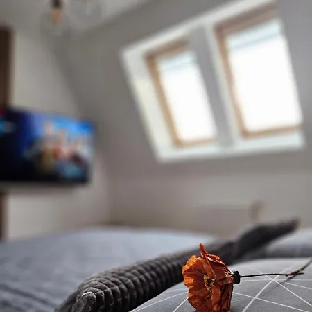 公寓 Maa 图兹拉