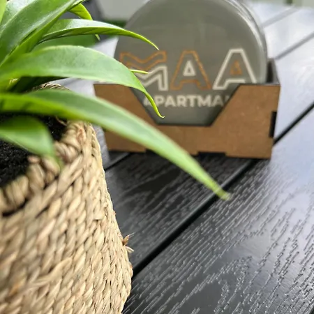 Maa 公寓 图兹拉